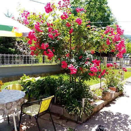 Apartman Vesna Ovcar Banja Dış mekan fotoğraf