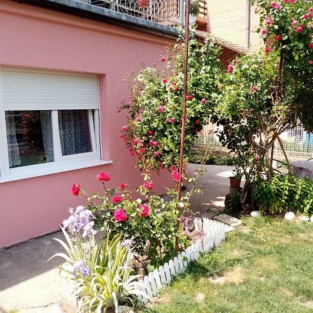 Apartman Vesna Ovcar Banja Dış mekan fotoğraf
