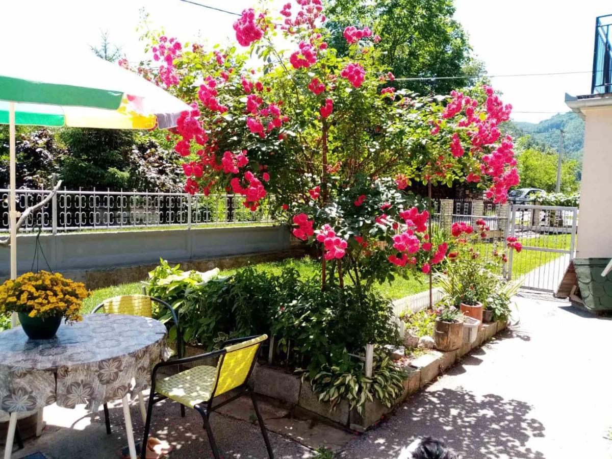 Apartman Vesna Ovcar Banja Dış mekan fotoğraf