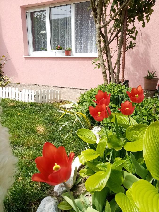 Apartman Vesna Ovcar Banja Dış mekan fotoğraf