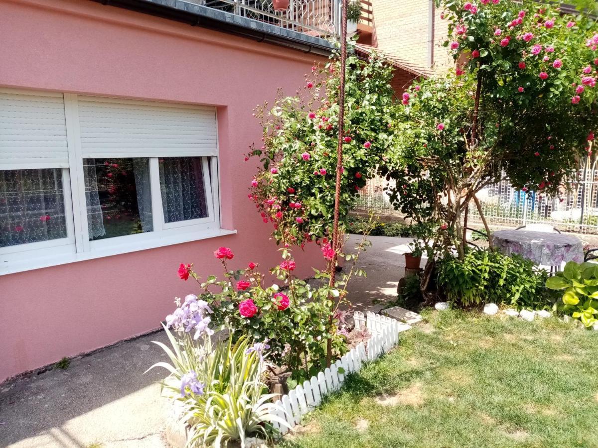 Apartman Vesna Ovcar Banja Dış mekan fotoğraf