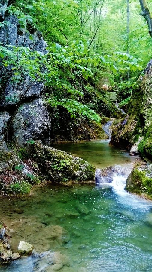 Apartman Vesna Ovcar Banja Dış mekan fotoğraf